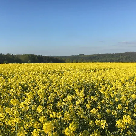 דירה Infinity Two *