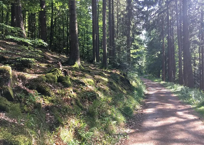 アパート Infinity Two *