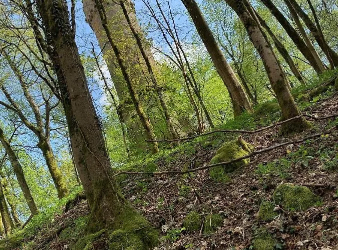 アパート Infinity Two