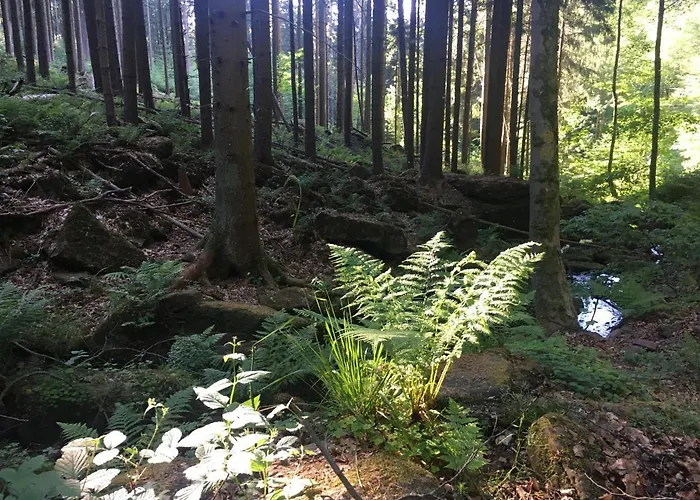 Infinity Two Апартаменты