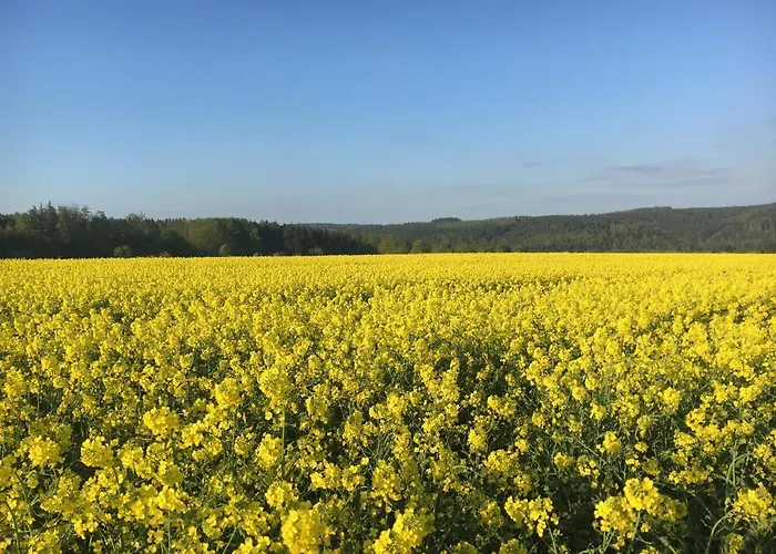 Апартаменты Infinity Two *